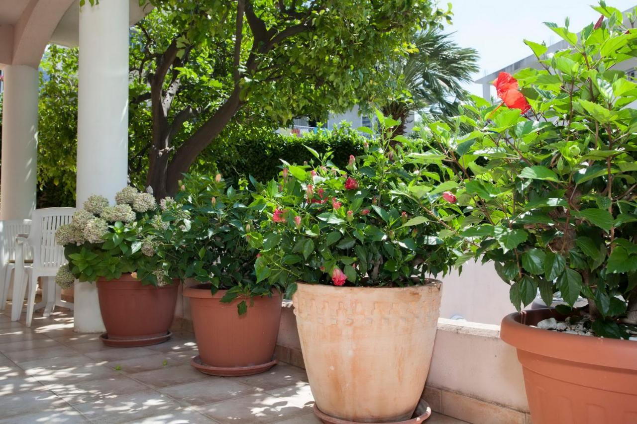 Aparthotel Villa Mozart Podgora Eksteriør billede